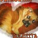siguiente
