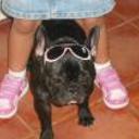 siguiente