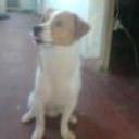 siguiente