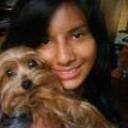 siguiente