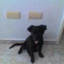 siguiente