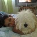siguiente