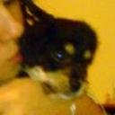 siguiente