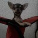 siguiente