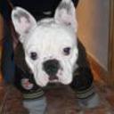 siguiente