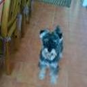 siguiente