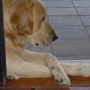 anterior