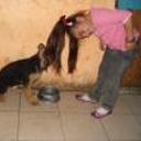 siguiente