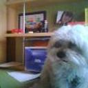 siguiente