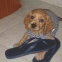 siguiente