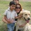 siguiente