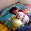 siguiente