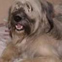 Homero