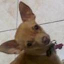 siguiente