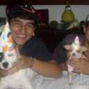 siguiente