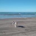 siguiente