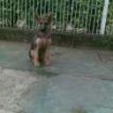 siguiente