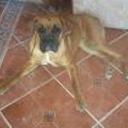 siguiente