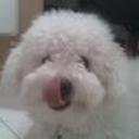 siguiente