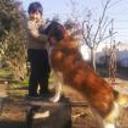 siguiente