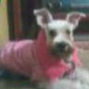 siguiente