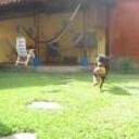 siguiente