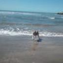 siguiente