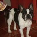 siguiente