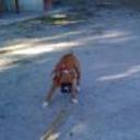 siguiente