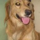 anterior