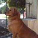 siguiente