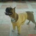 siguiente