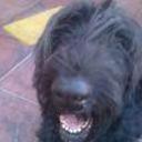siguiente