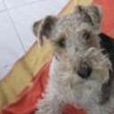 siguiente