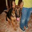 siguiente