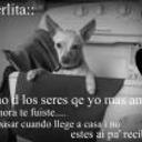 siguiente