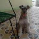 siguiente