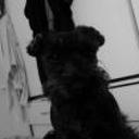 siguiente