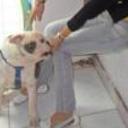 siguiente