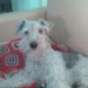 siguiente