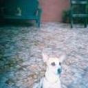 siguiente