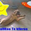 siguiente