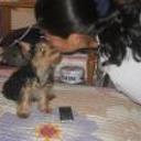 siguiente