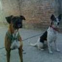 siguiente