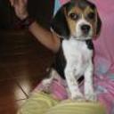 siguiente