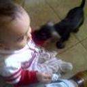 siguiente