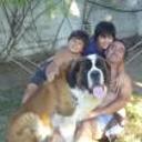 siguiente