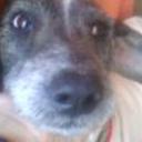 siguiente