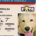 siguiente
