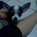 siguiente